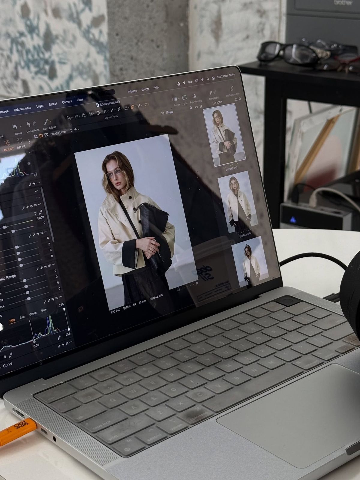 Color Control: Professional Color Grading